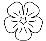 Ľan