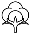 Bavlna